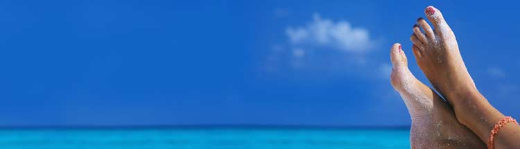 pendant ce temps ...